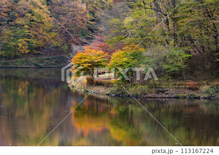 群馬県安中市の秋 紅葉のアプトの道 碓氷湖 群馬県安中市の秋 紅葉のアプトの道 碓氷湖 113167224