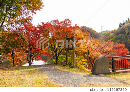 群馬県安中市の秋　紅葉のアプトの道　碓氷湖 113167230