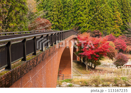 群馬県安中市の秋　紅葉のアプトの道　碓氷湖 113167235