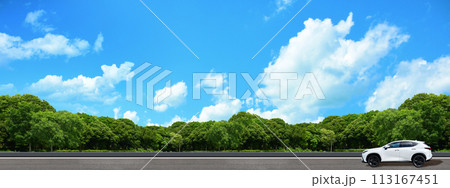 青空と木々が茂る大自然を車でドライブ 青空と木々が茂る大自然を車でドライブ 113167451