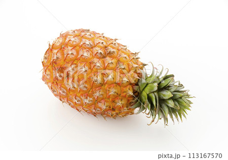 完熟パイナップル（台湾産） 113167570