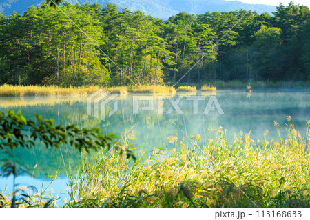 磐梯朝日国立公園　裏磐梯五色沼湖沼群るり沼の気嵐の風景 113168633
