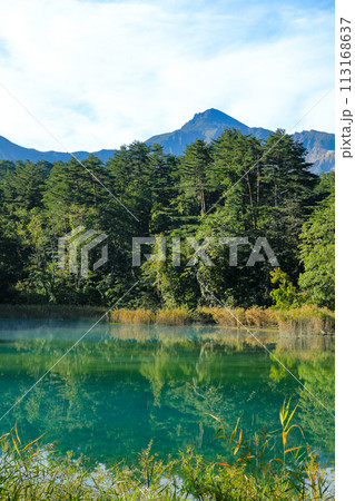 磐梯朝日国立公園 裏磐梯五色沼湖沼群るり沼の気嵐の風景 磐梯朝日国立公園 裏磐梯五色沼湖沼群るり沼の気嵐の風景 113168637