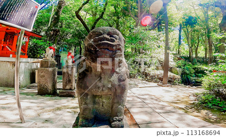 神社の狛犬　新宿の十二社熊野神社 113168694