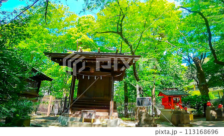 新緑の中の十二社熊野神社の境内社 　大鳥神社 113168696