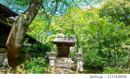 新緑の中の十二社熊野神社の境内社 　大鳥神社 113168698