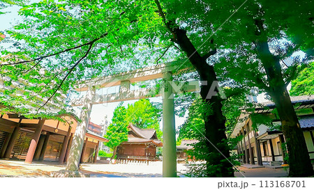 東京都新宿区西新宿 十二社熊野神社 113168701