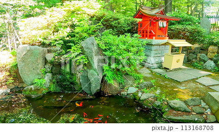 新緑の中の小さな神社と金魚が泳ぐ池　十二社熊野神社の境内社 　厳島神社 113168708