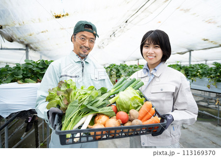 ビニールハウスで野菜を持つ農家の親子 ビニールハウスで野菜を持つ農家の親子 113169370