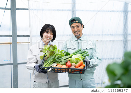 ビニールハウスで野菜を持つ農家の親子 ビニールハウスで野菜を持つ農家の親子 113169377
