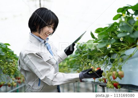 イチゴの様子をチェックする若い女性 113169380