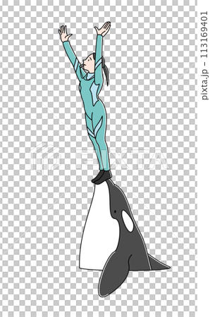 Orca show: Killer whales and trainers jumping out of the water (color) Orca show: Killer whales and trainers jumping out of the water (color) 113169401