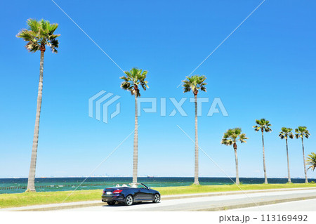 千葉県 青空の千葉フォルニアとオープンカー 千葉県 青空の千葉フォルニアとオープンカー 113169492