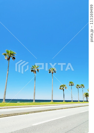 千葉県 青空の千葉フォルニア 千葉県 青空の千葉フォルニア 113169499