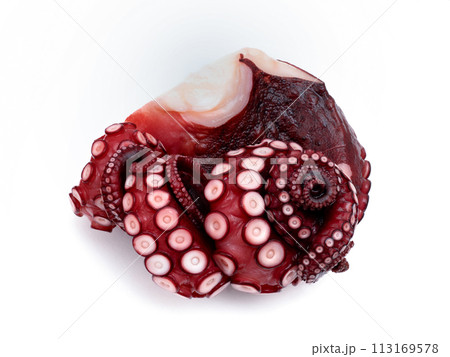 蒸しダコ 113169578