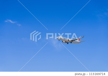 《飛行機》ボーイング Boeing 737NG > 737-800 《飛行機》ボーイング Boeing 737NG > 737-800 113169714