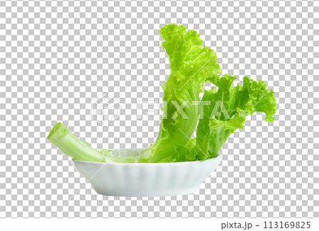 Lettuce leaf with bowl isolated,Green leaves pattern ,Salad ingredient 113169825