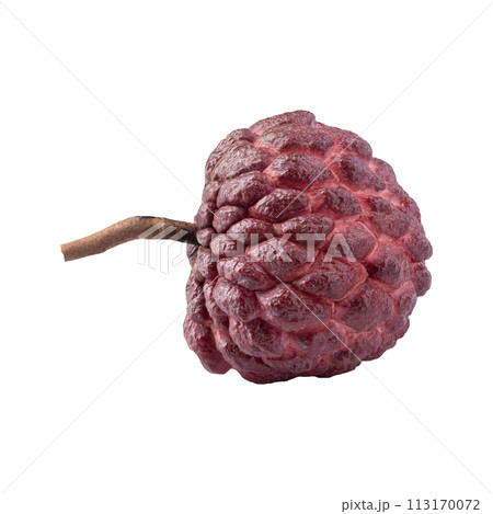 Annona, Custard apple or sugar apple isolated on a white background Annona, Custard apple or sugar apple isolated on a white background 113170072