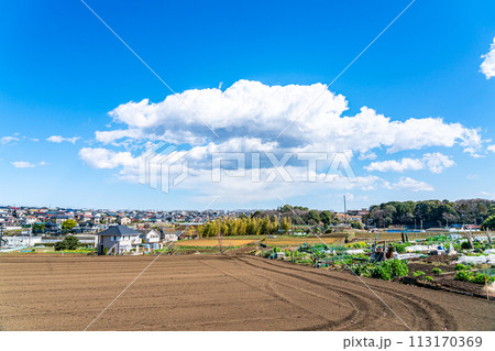 【神奈川県】のどかな雰囲気のある海老名の街並みと田園風景 【神奈川県】のどかな雰囲気のある海老名の街並みと田園風景 113170369
