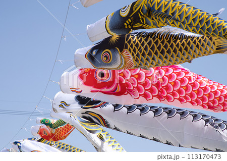 青空に泳ぐ鯉のぼり 青空に泳ぐ鯉のぼり 113170473