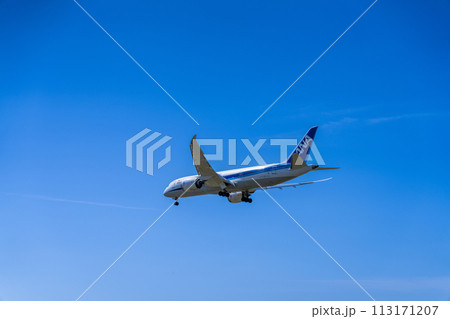 《飛行機》ボーイング Boeing 787 > 787-8 Dreamliner 《飛行機》ボーイング Boeing 787 > 787-8 Dreamliner 113171207