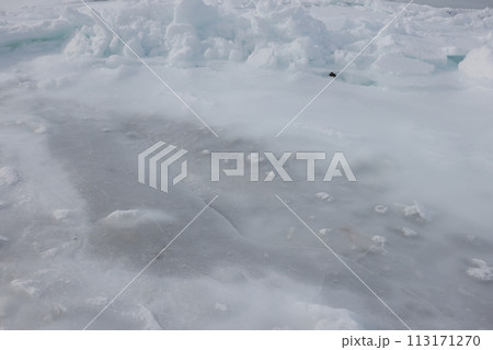 北海道イクシナ海岸冬 113171270