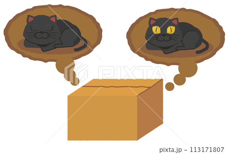 シュレディンガーの猫の図　箱の中の黒猫は生きているか死んでいるか 113171807