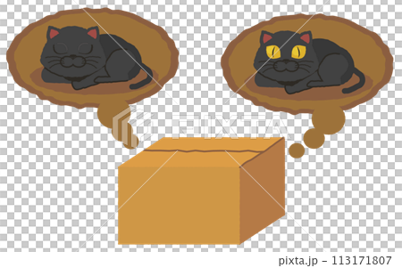 シュレディンガーの猫の図　箱の中の黒猫は生きているか死んでいるか 113171807