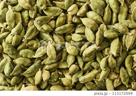 カルダモン　cardamom 113172099