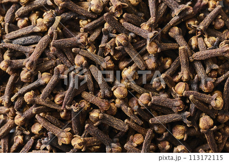 クローブ　clove 113172115