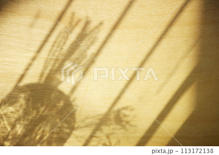 A sunny window and the shadow of a plant that can be used as a design background. 113172138