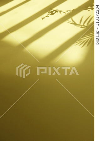 A sunny window and the shadow of a plant that can be used as a design background. A sunny window and the shadow of a plant that can be used as a design background. 113172204