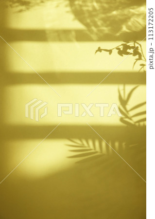 A sunny window and the shadow of a plant that can be used as a design background. A sunny window and the shadow of a plant that can be used as a design background. 113172205