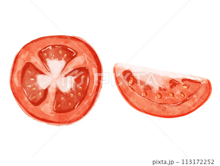 カットしたトマトのイラストのセット カットしたトマトのイラストのセット 113172252