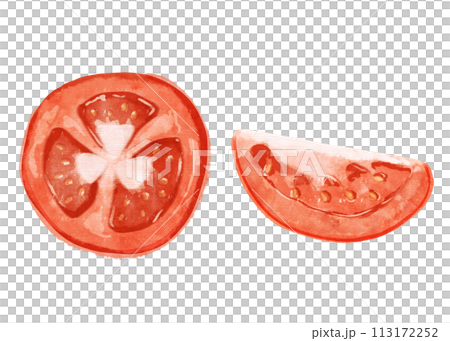 カットしたトマトのイラストのセット カットしたトマトのイラストのセット 113172252