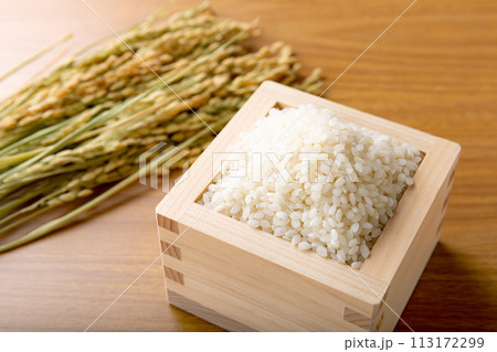 お米　新米 113172299