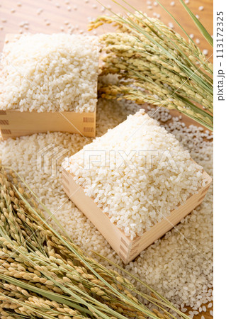 お米 新米 お米 新米 113172325