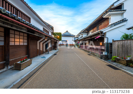 徳島　重伝建　脇町の町並み 113173238