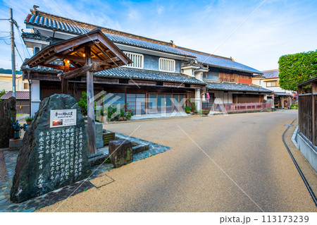 徳島　重伝建　脇町の町並み 113173239