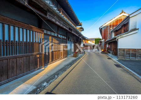 徳島　重伝建　脇町の町並み 113173260