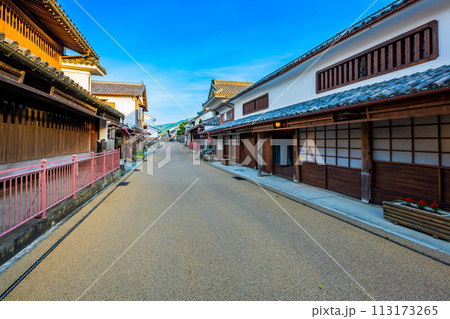 徳島　重伝建　脇町の町並み 113173265