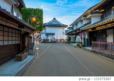 徳島　重伝建　脇町の町並み 113173267