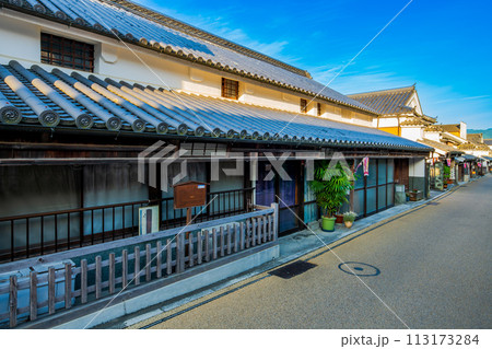 徳島　重伝建　脇町の町並み 113173284