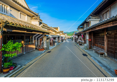 徳島　重伝建　脇町の町並み 113173299
