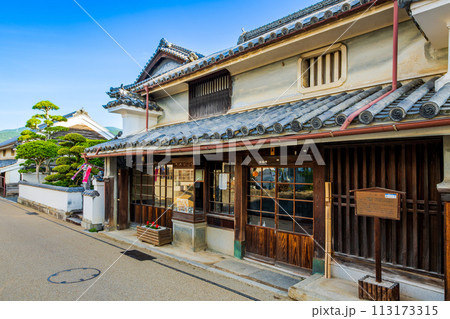 徳島　重伝建　脇町の町並み 113173315