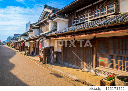 徳島　重伝建　脇町の町並み 113173322