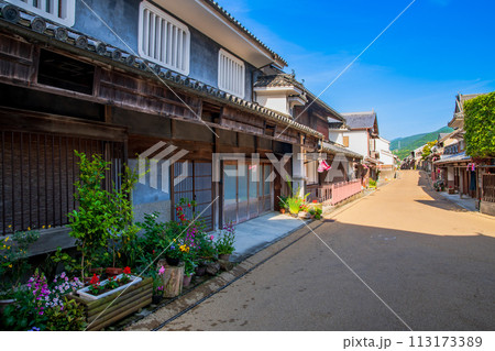 徳島　重伝建　脇町の町並み 113173389