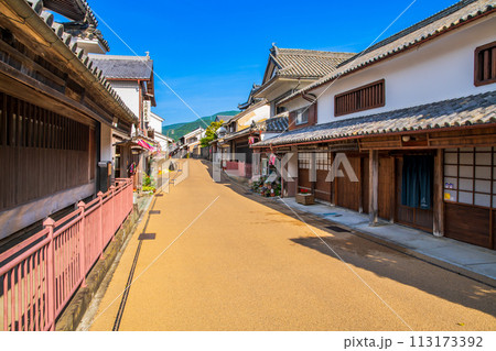 徳島 重伝建 脇町の町並み 徳島 重伝建 脇町の町並み 113173392