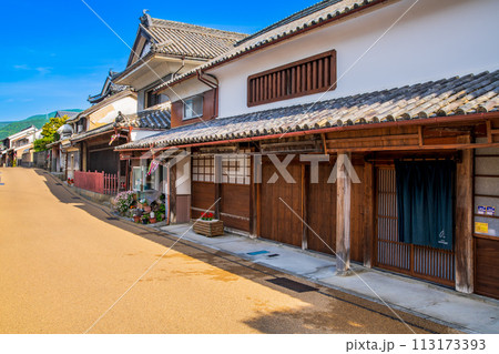 徳島　重伝建　脇町の町並み 113173393
