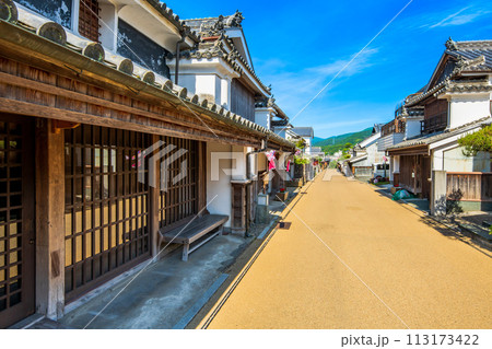 徳島　重伝建　脇町の町並み 113173422